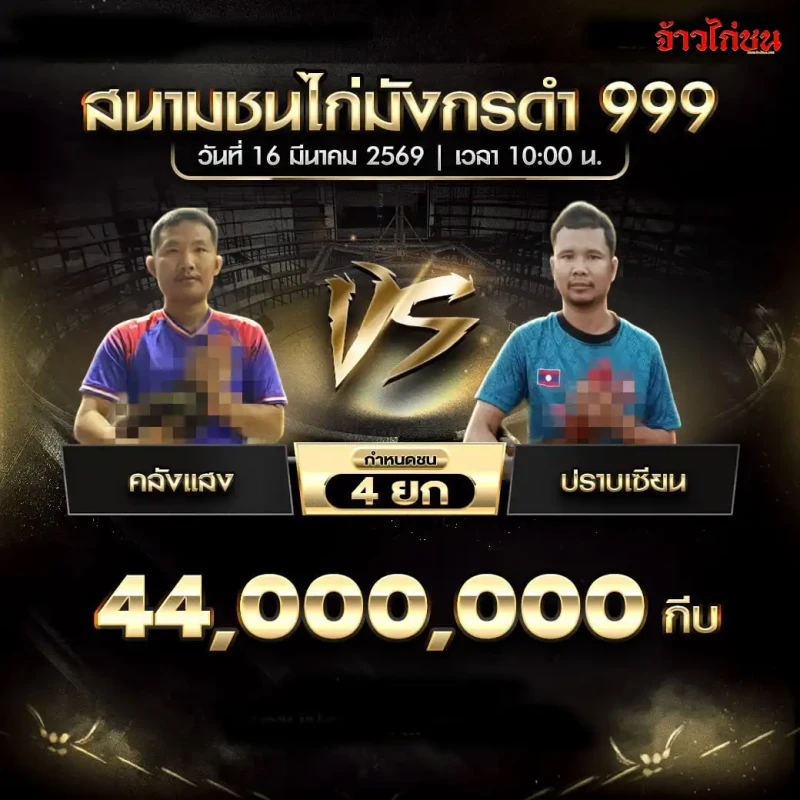 โปรแกรมไก่ชน คู่คลังแสง พบ ปราบเซียน สนามชนไก่มังกรดำ999 วันจันทร์ที่ 16 มีนาคม 2569