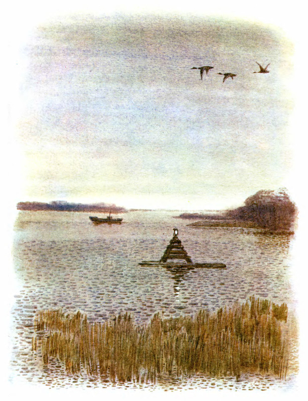 p0020