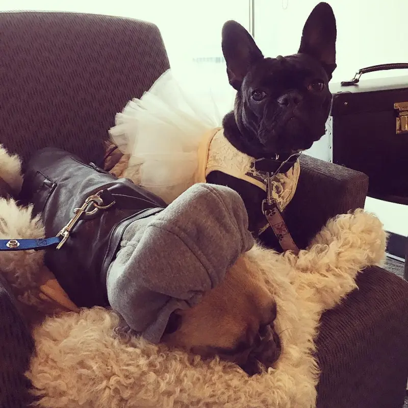 12-26-15-Instagram-004.webp