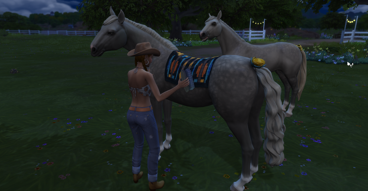 NEW-RESCUE-HORSE-MISTY.png