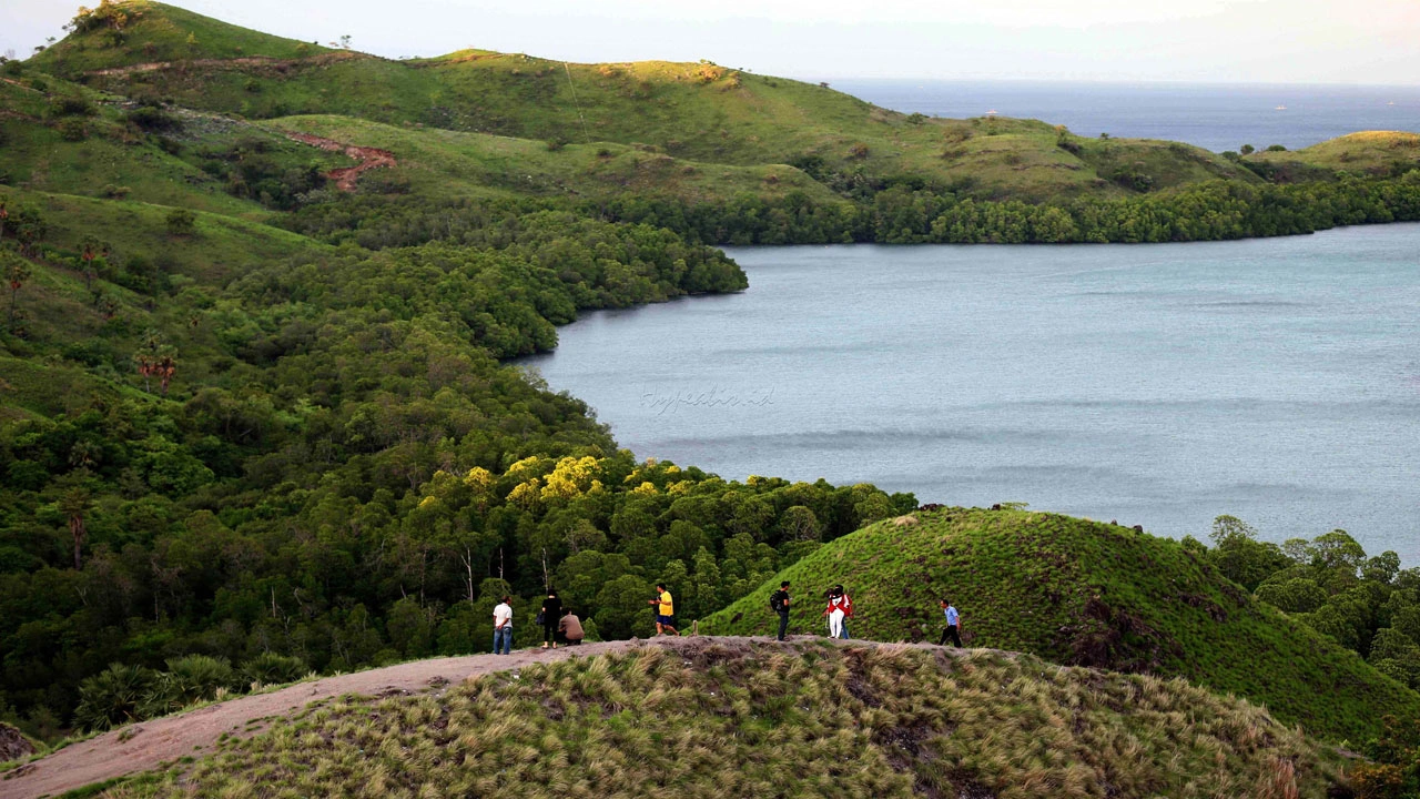 Aktivitas Wisata yang Menarik di Bukit Amelia
