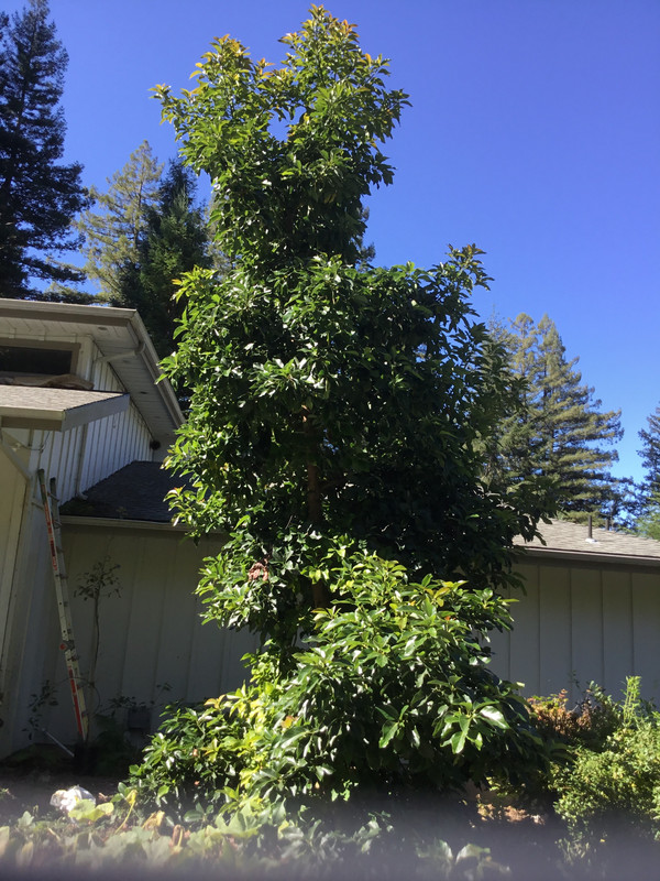 A97FA40E-7127-4A65-8A17-19DD72583676