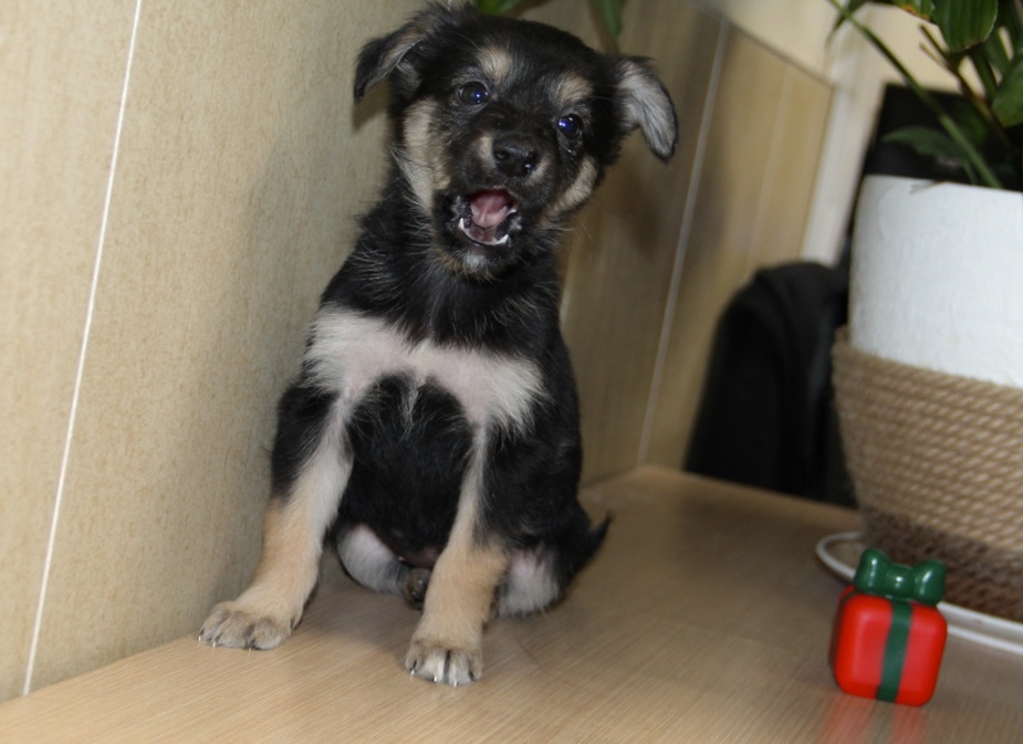 651359DF-BB82-4480-B5BA-55B4A10D2774