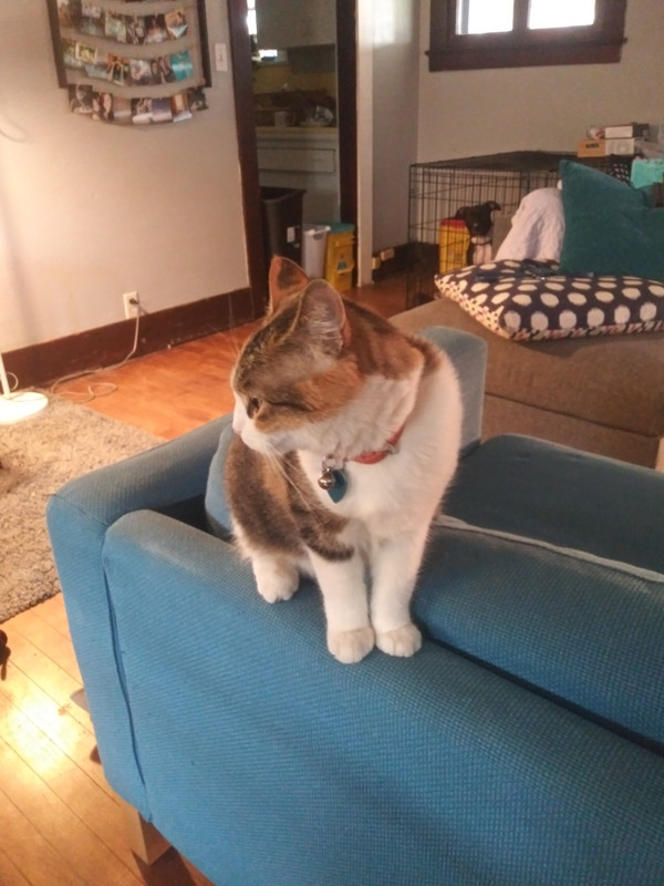 20191128_093000