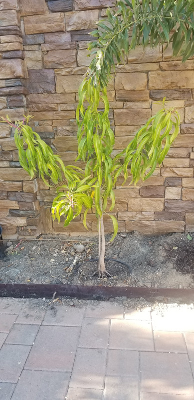 20190421_171856