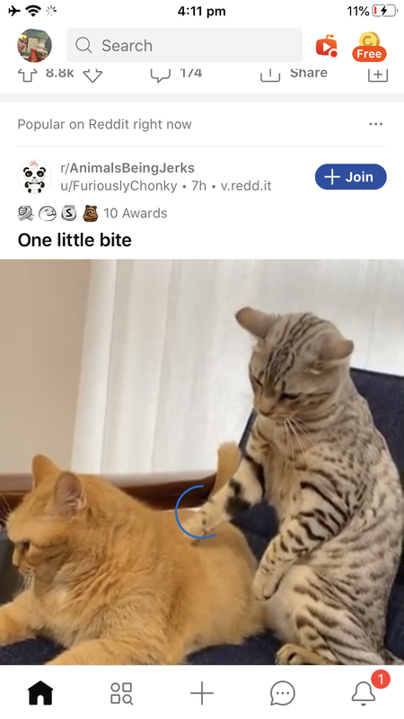 13E4579E-BD94-4A0B-AD7B-838B70BE0555