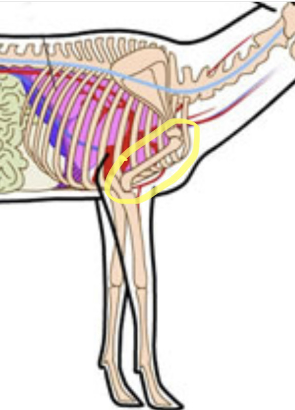 86A68BA3-2C17-4A18-887B-85EC5D39E0A7