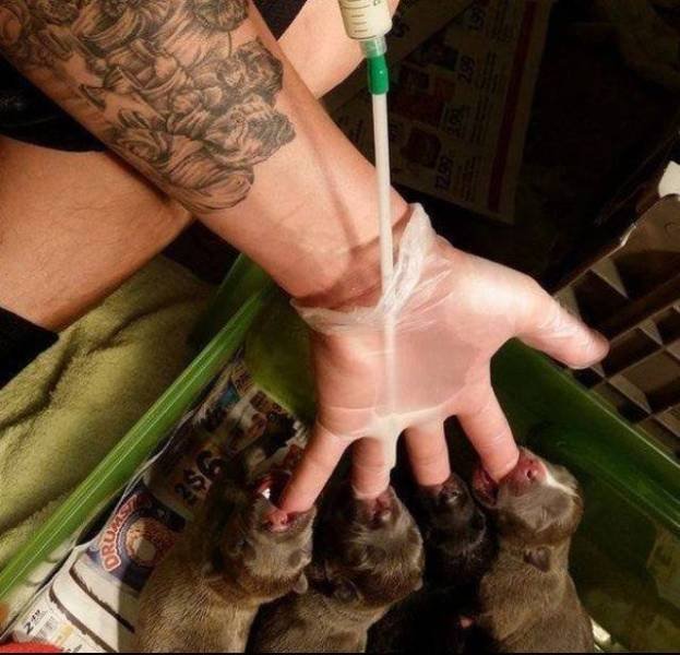 Smart-36