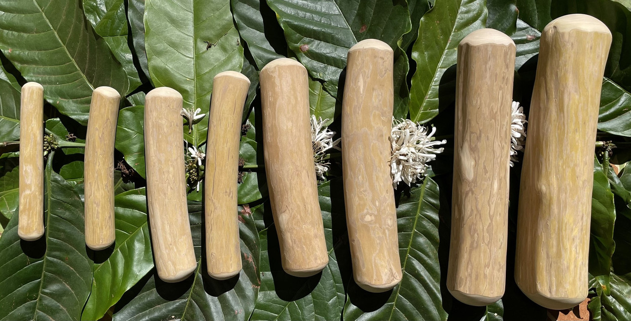 Coffee Wood Chew