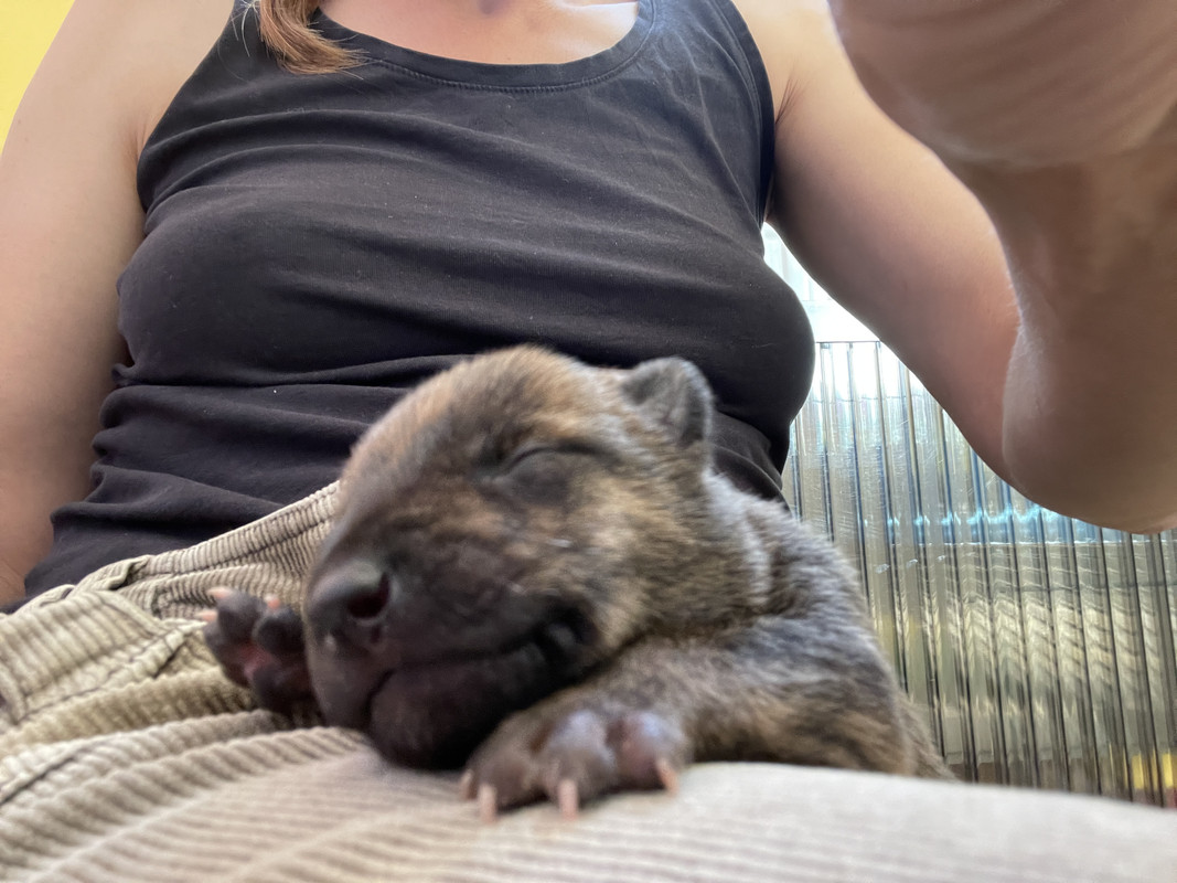 791E87E8-10CD-4675-938F-4A5794B71B09