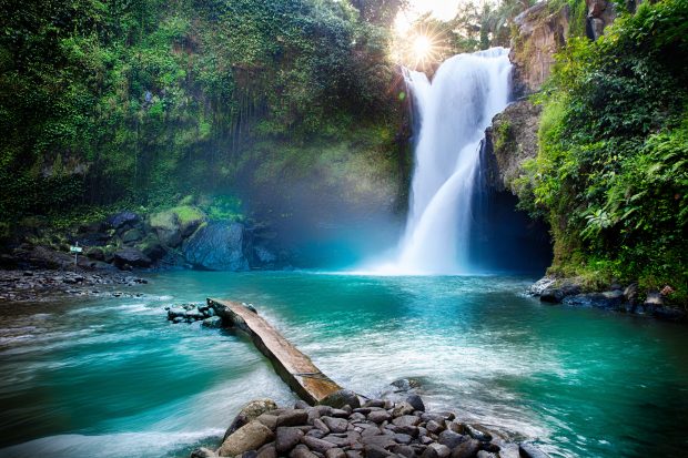 Waterfall-hidden-in-the-tropical-jungle-Nature-Wallpaper-620x413.jpg