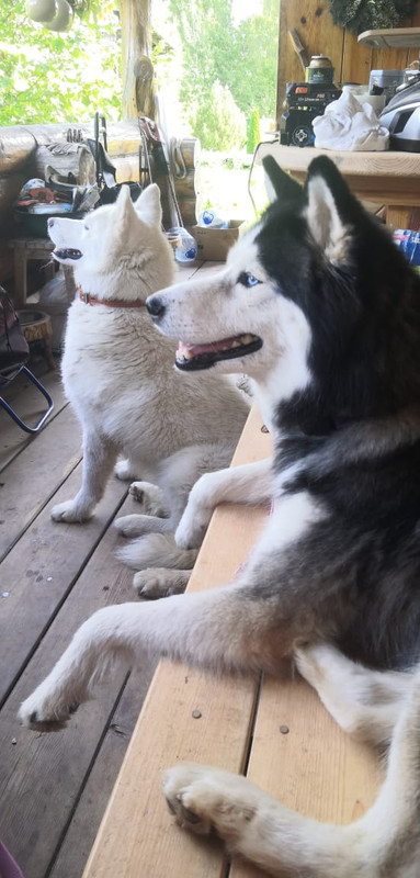 56CA4D30-7FC9-4EB5-8DDF-0A341911C3A0