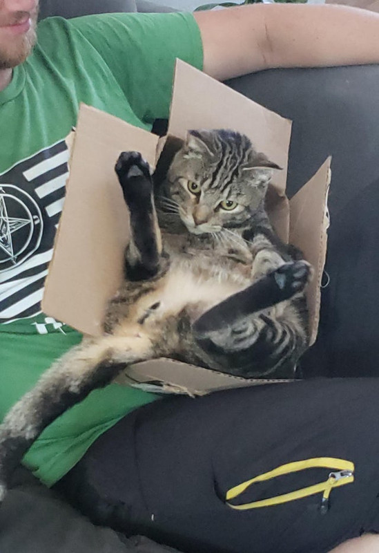 Коробочка - 1