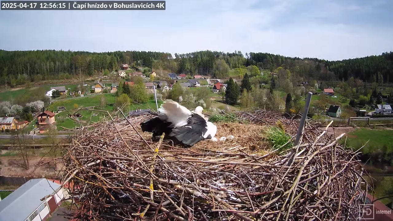 Tiešraidē no uzņēmuma KARA stārķa skursteņa Bohuslavicē pie Trutnovas 7-53-54 screenshot (1)