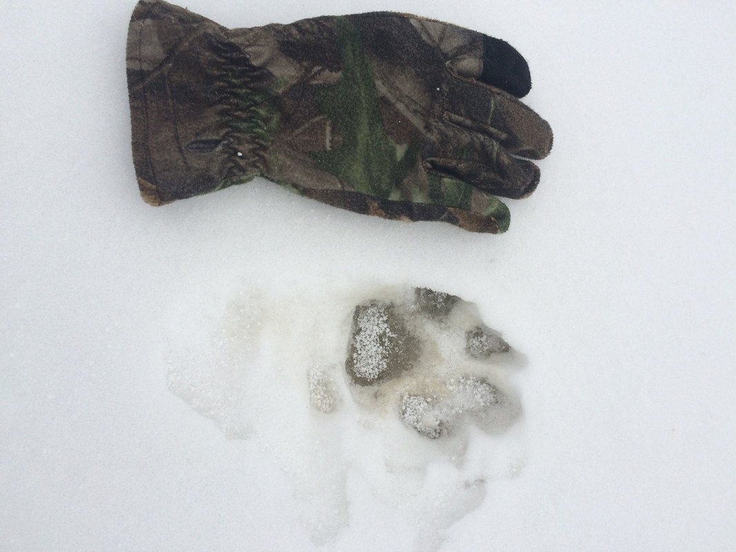 01109374-C76C-4411-8B06-1650258A4E47