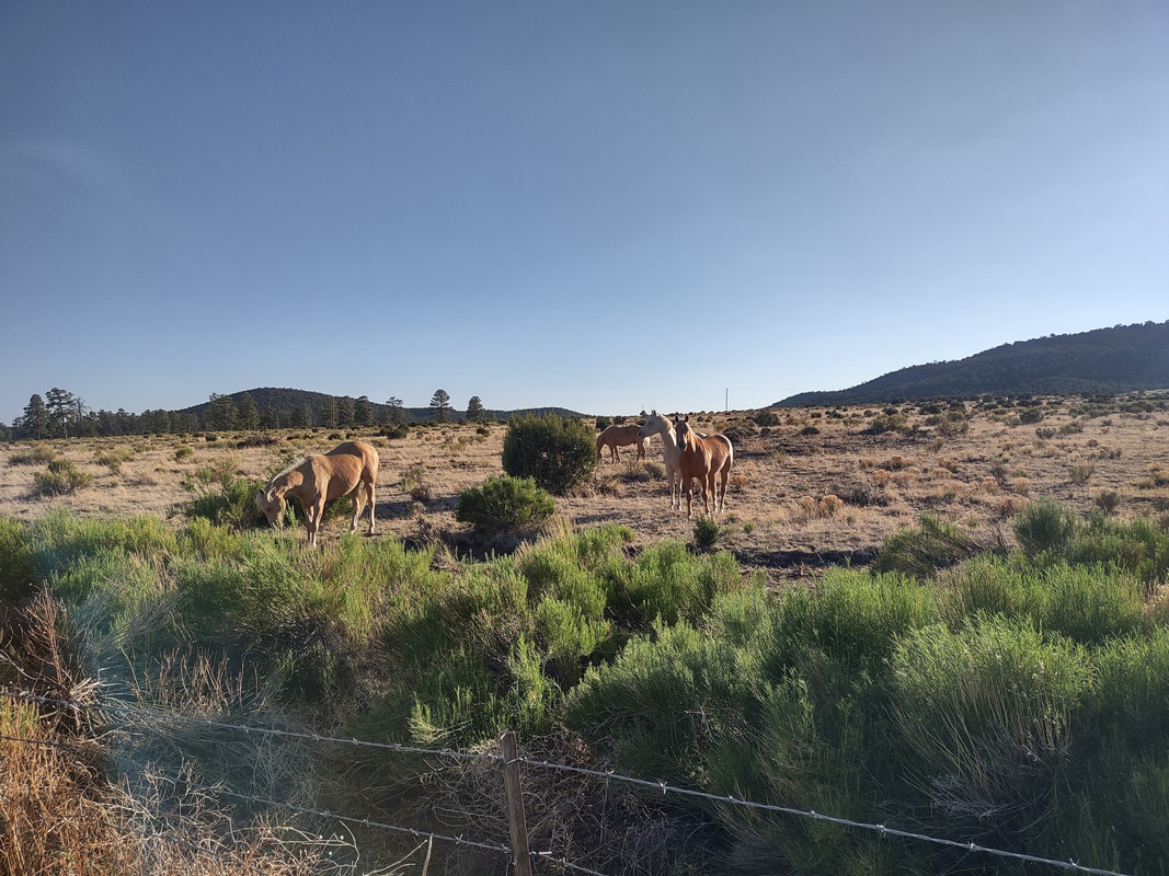 IMG_20250704_190008683_HDR