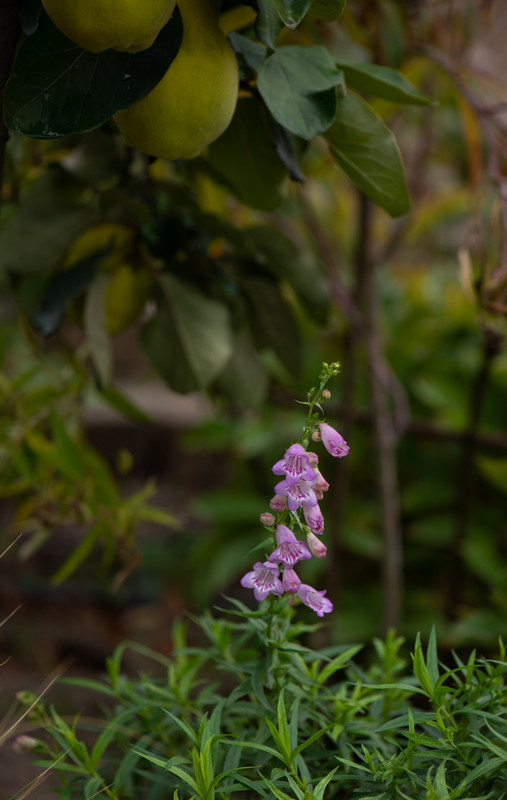 IMG-53df32e96ba4adaaf4f6ce3833440d36-V