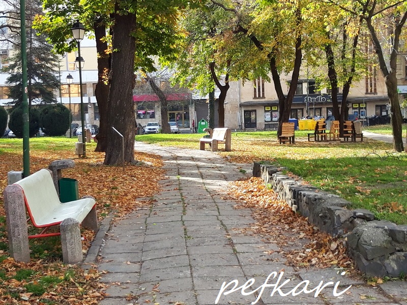 Slika