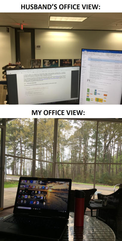 OFFICE-VIEWS
