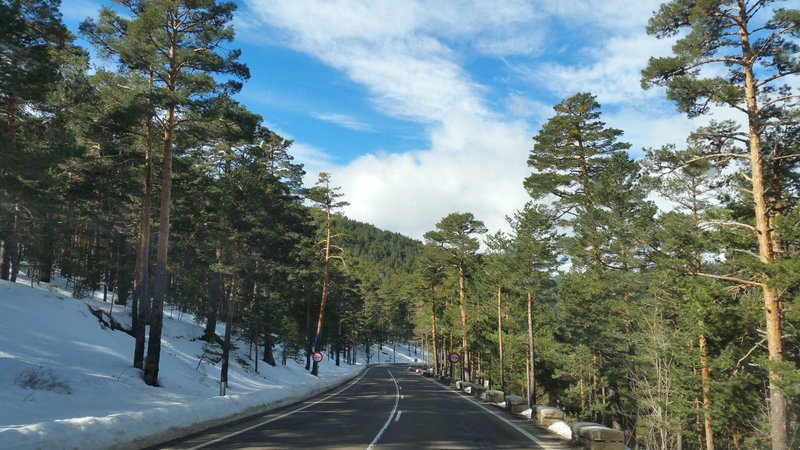 Paseando por España-1991/2016 - Blogs de España - PUERTO DE NAVACERRADA Y COTOS-2006/2009/2013/2016-MADRID (55)