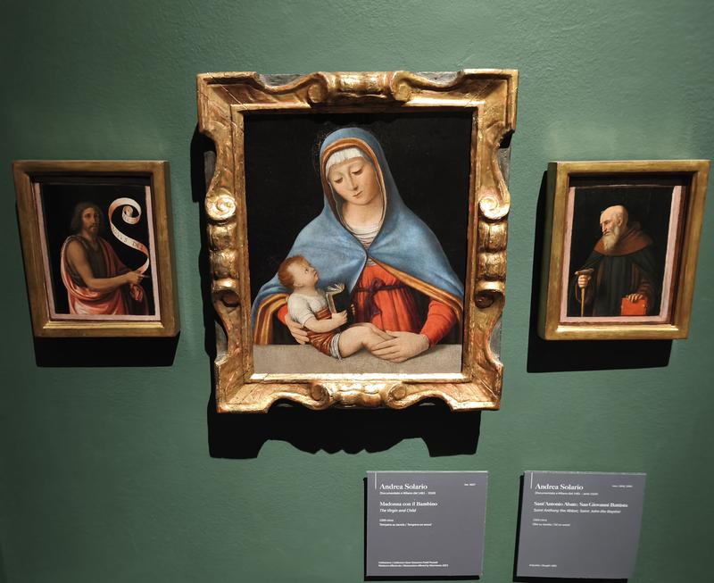 Milán-Turín-Génova-Pavía - Blogs de Italia - Pavía: la famosa batalla y sus torres medievales (149)