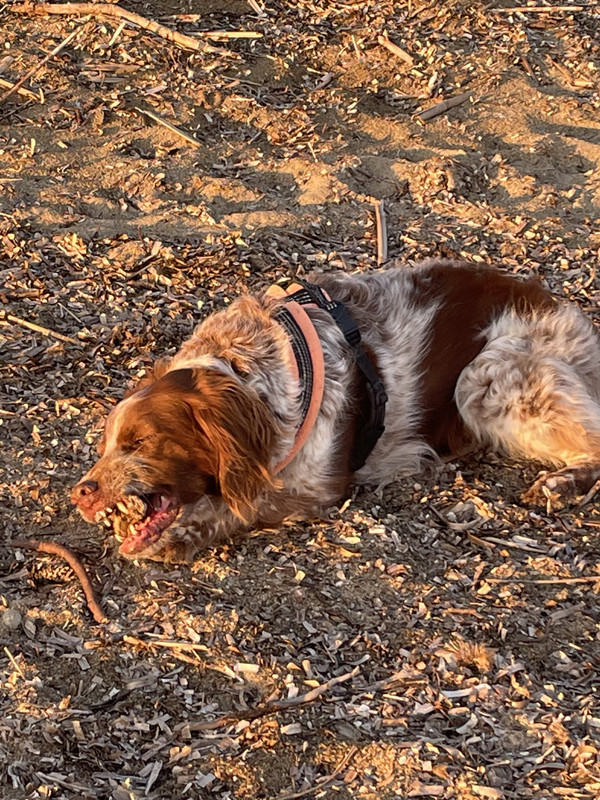 4527ABC1-EF39-4476-AF70-B6139B1C2ADF