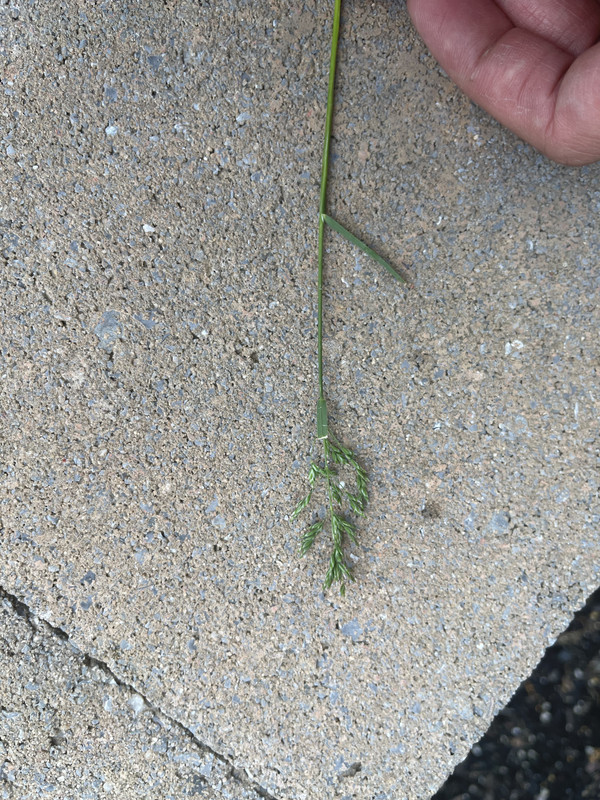 1532DC6F-2D59-4718-B866-7E9A555F010A