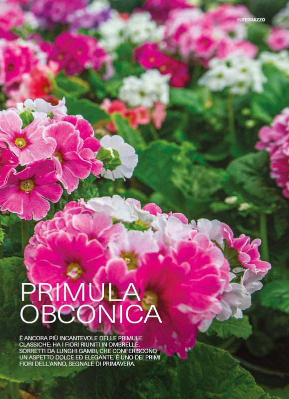 il mio Giar Feb Mar 2026 (2)