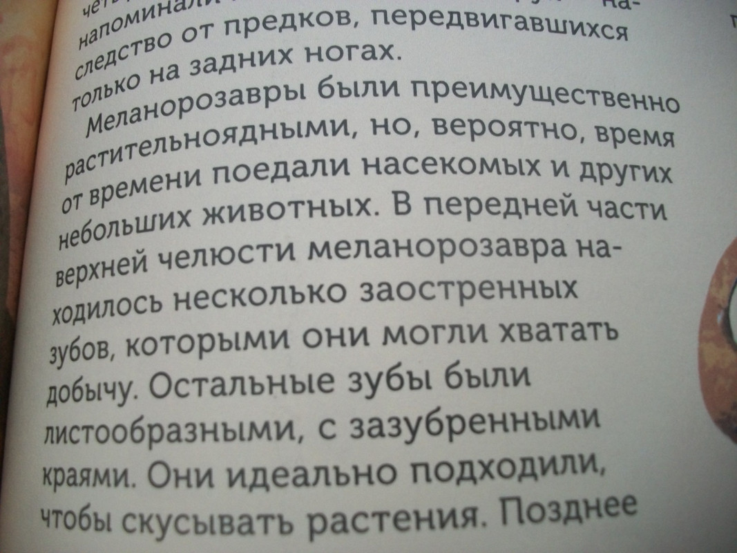 100_7765