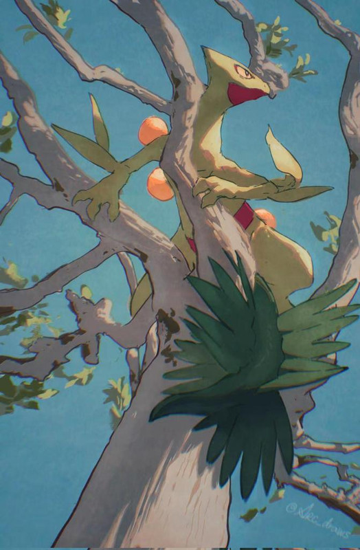 sceptile-pokemon-drawn-by-arc-draws-f86c