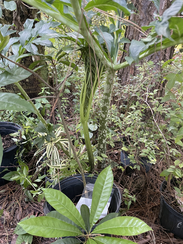 69308E29-3AFD-47A6-9458-364DBE70B329