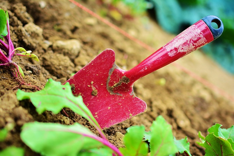 garden maintenance palm beach