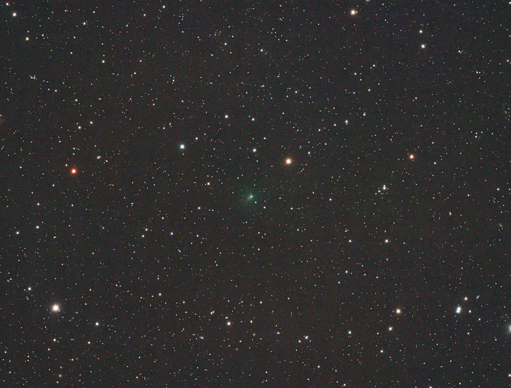 C2024E1_20250926_DID m