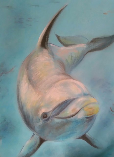 IMG_20180731_150845_2