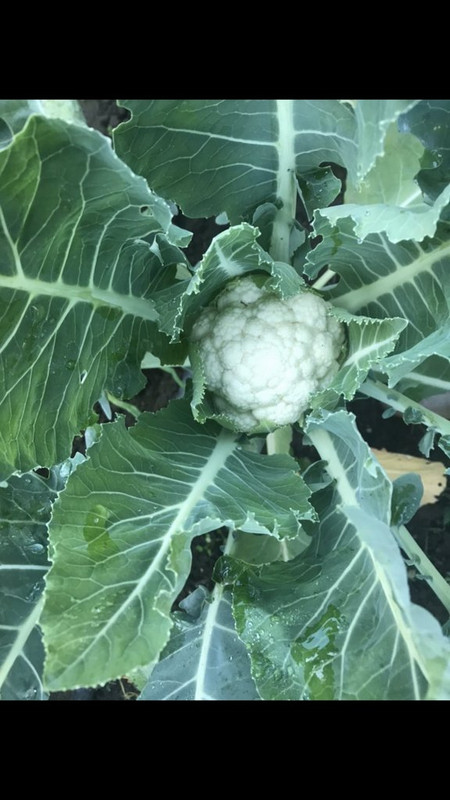 C8360456-EDA1-4761-89F8-3A5E8FD5DEBE