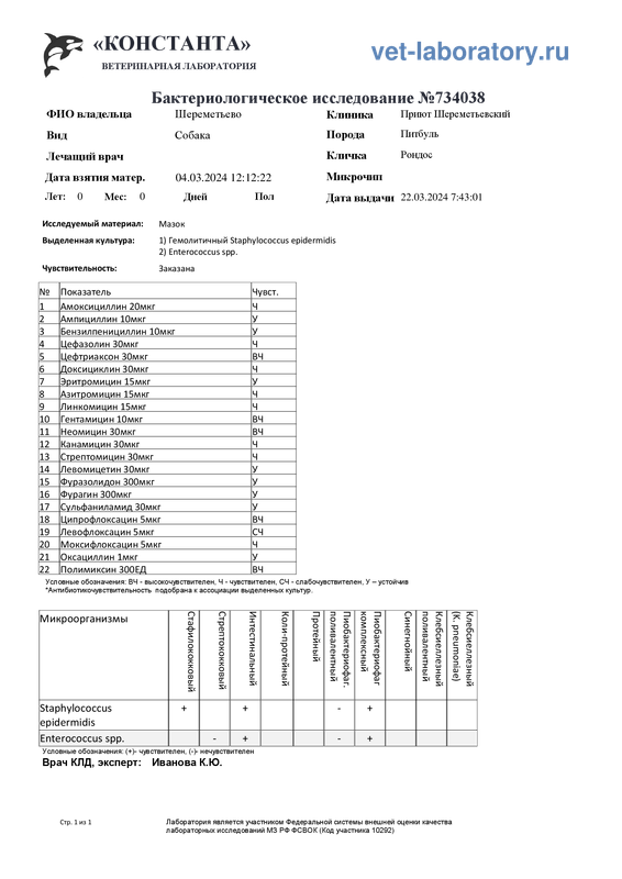 Бактериологическое исследование 22 (734038)