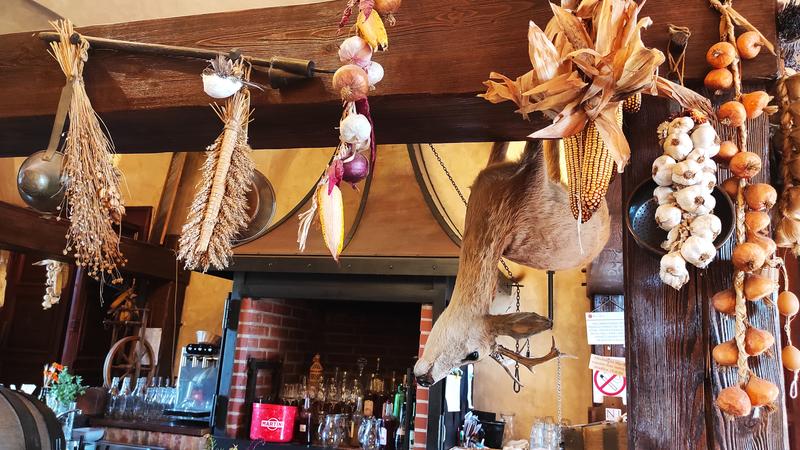 Castillo Zbiroh-21-9-2025 - República Checa y sus pueblos-2025 (30)