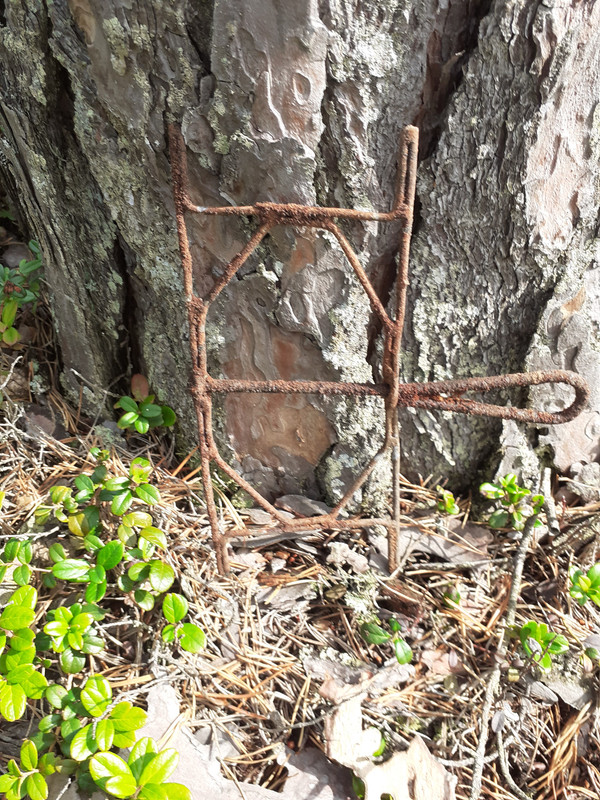 20210808_113453 – kopio