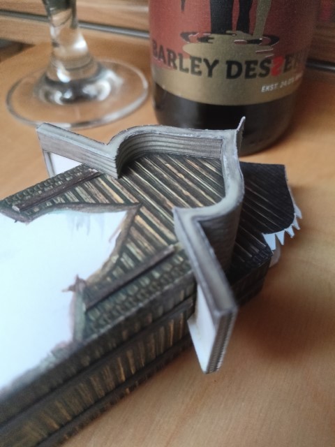 IMG20230518194255 (Small)