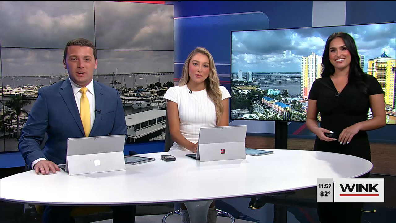 04.02 - 16.30.00 - WINK NEWS at 11 30am  ᴺᵉʷ. Midday news..ts_snapshot_34.10.005