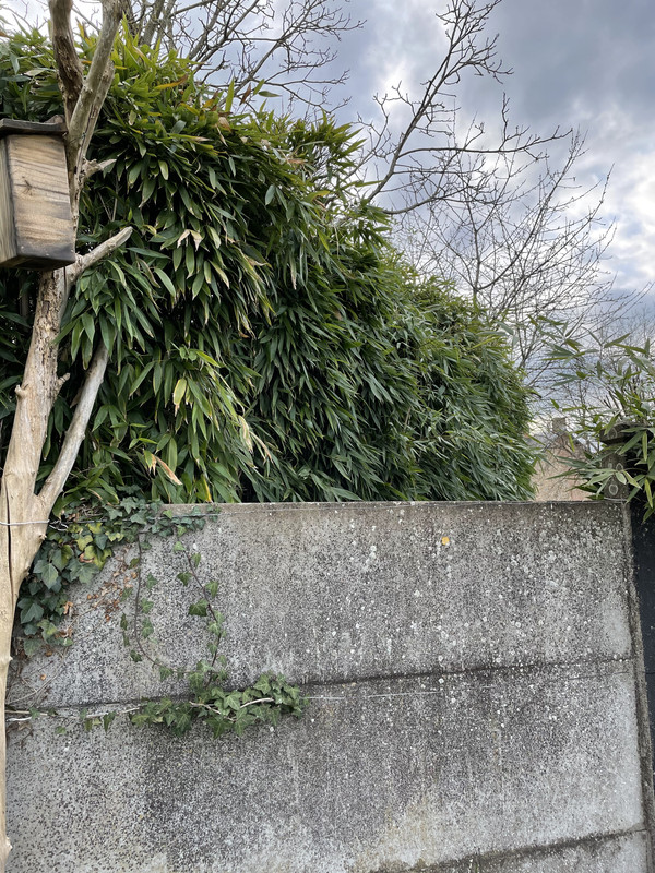 BB1AC154-446D-4A69-8AD7-9F6B04D22F1F