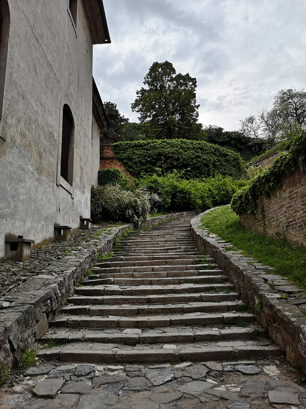 Slika