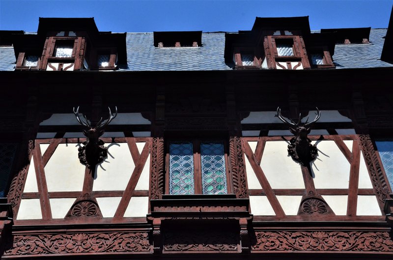 Rumanía y sus pueblos-2015 - Blogs de Rumania - Sinaia-4-8-2015 (11)