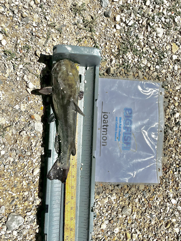 5A4A21E2-1A50-4867-80AC-5889BFCD415A