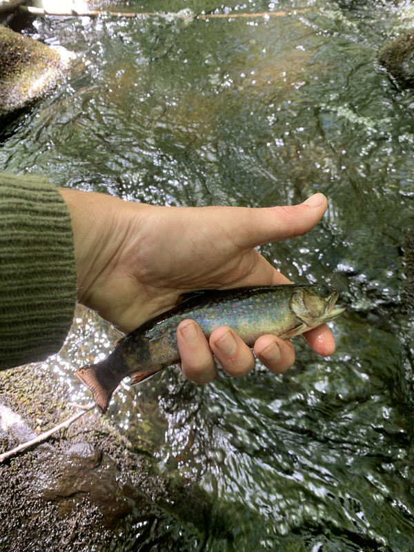 E5389A7F-21C3-4276-BC51-8933575FD3A3