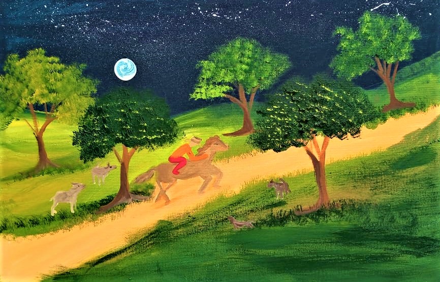 Meire Lopes e a arte naif  (15)