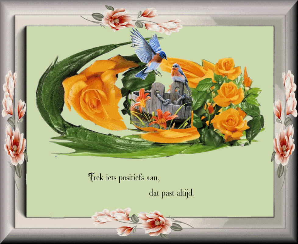 plaatje-23-juni-2021