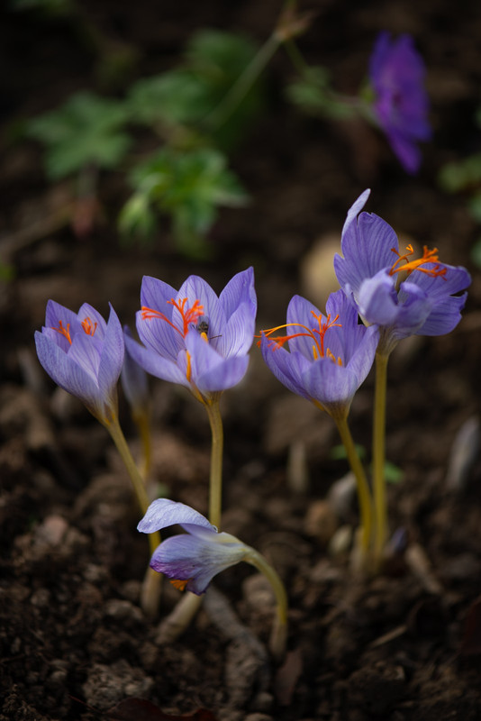 IMG-1b86cdf98e0b7bbcb807ec603c5986c9-V
