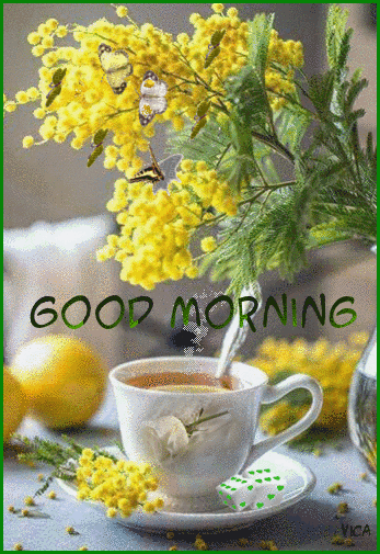 5322d57f9c7de8717e40c05cdb22facb