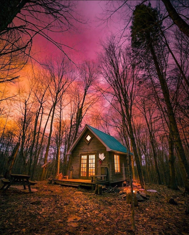 Screenshot_20231207_154621_Instagram